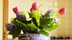 promotions, bons plans, hotel, cote belge