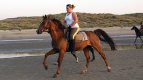 randonnée équestre belgique, vacances à cheval