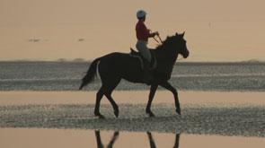 paardrijden aan zee ruitervakantie paardrijvakantie